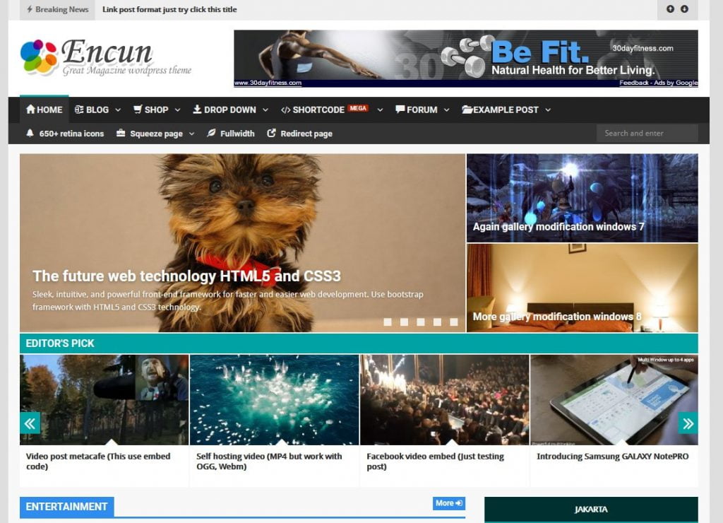 Encun is Magazine WordPress themes